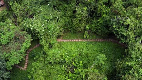 aerial drone shot of the small wooden path of stairs to the enchanted well or poço encantado surrounded by tropical trees, plants, and cliffs in the chapada diamantina national park in northern brazil