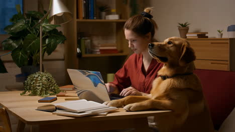 woman working on laptop with golden retriever