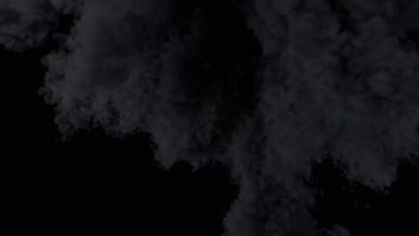 efectos visuales de la explosión, el humo y el fuego