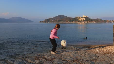 Child-girl-with-pink-hoodie-touch-a-swan-and-scared-runs-away