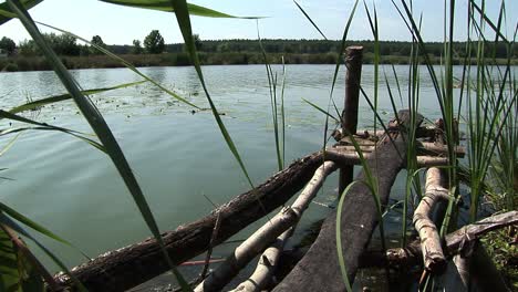 an old river deck in summertime in a ukrainian village