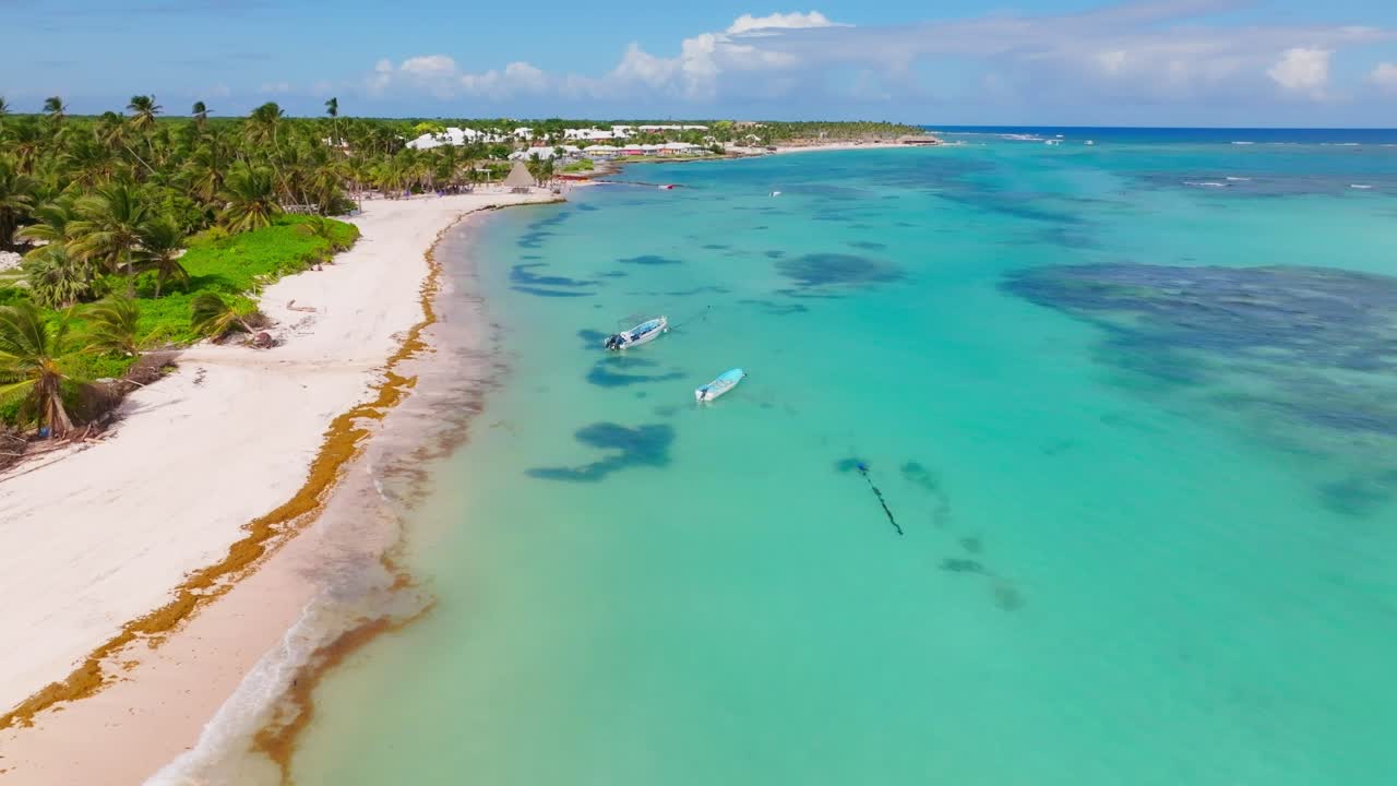 Aerial view of beautiful sandy beach and turquoise Caribbean sea and tropical palm trees in sunlight - Playa Blanca, Punta Cana