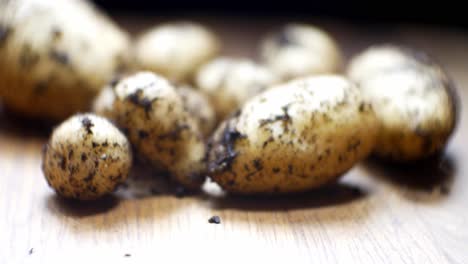 homegrown organic potatoes shallow focus covered in soil on wooden kitchen surface left pull back dolly