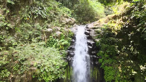 pequeña cascada en la reserva ecológica de benito juárez en los tuxtlas