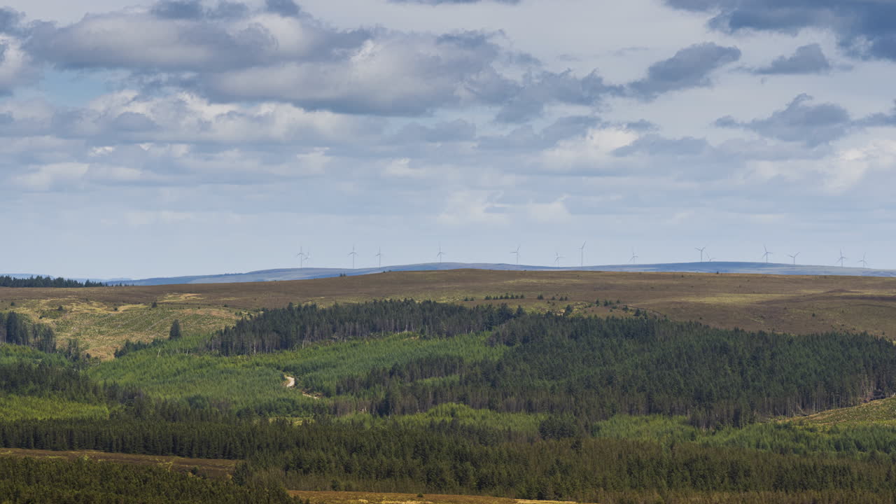 таймлапс смешанного лесного сельского пейзажа и ветряных турбин на далеких холмах в летний пасмурный день в ирландии