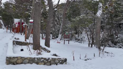 snowy path leading through a winter forest with a sign