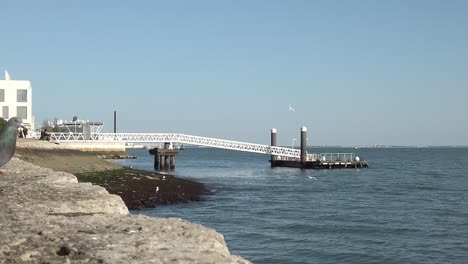 pigeons flying near sea wall at lisbon embankment with pier in view in background