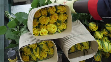 rosas clasificadas en la fábrica de flores.