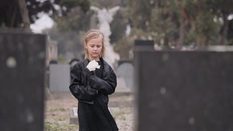 flower, death or kid in cemetery for funeral