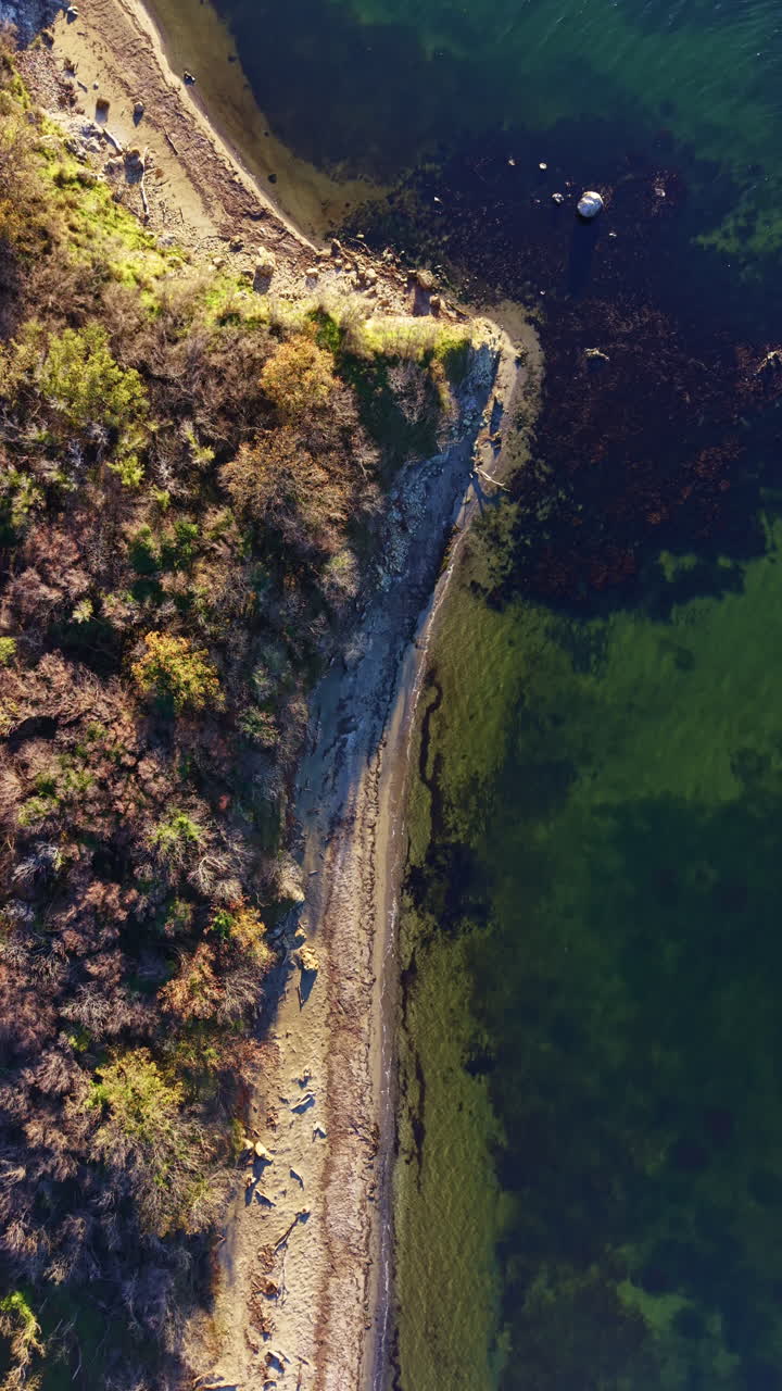 View of a coastal area with trees and water during daylight hours showing various shades of nature around the shoreline