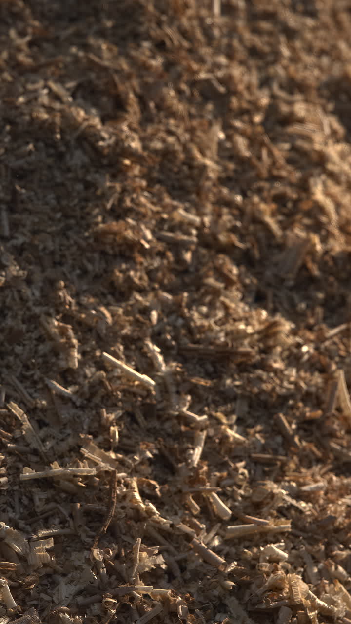 Fine Sawdust Pile Under Warm Shop Light, Closeup Of Granular Wood Fibers And Chips With Rich Brown. Media