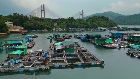 aerial over the fishing boats and rafts of the fish farms on ma wan island, hong kong, china