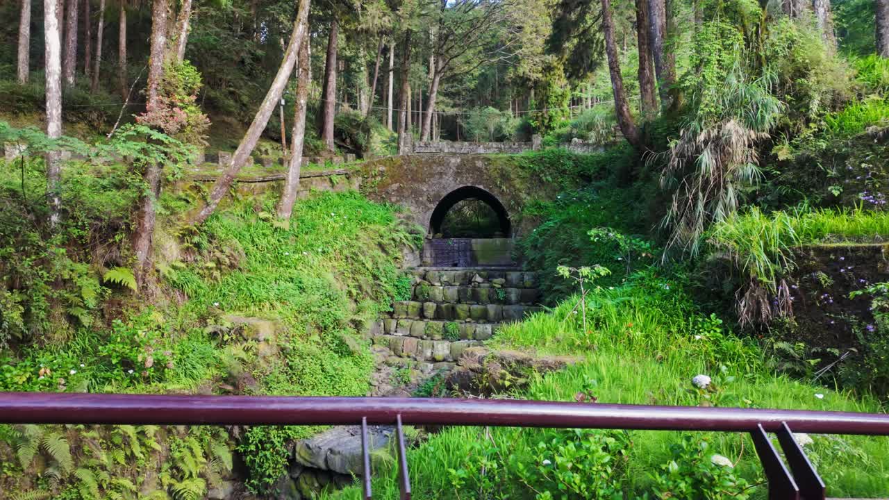 Serene arch bridge in lush Alishan forest, Taiwan, peaceful nature escape