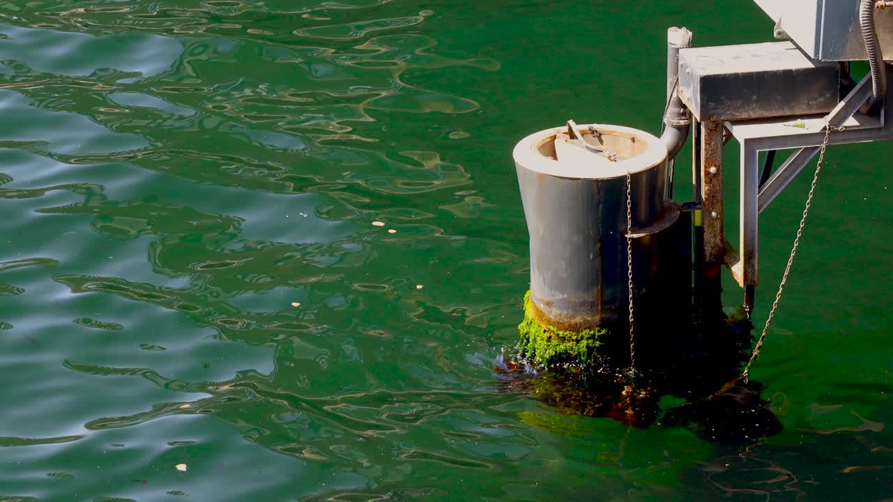 Close view of buoy covered with moss and algae floating near dock structure in Istanbul port