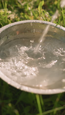 pérdida de agua que se vierte en una placa metálica en un terreno cubierto de hierba bajo un clima soleado, el agua se desborda de la placa creando un pequeño charco alrededor a medida que cae sobre la hierba