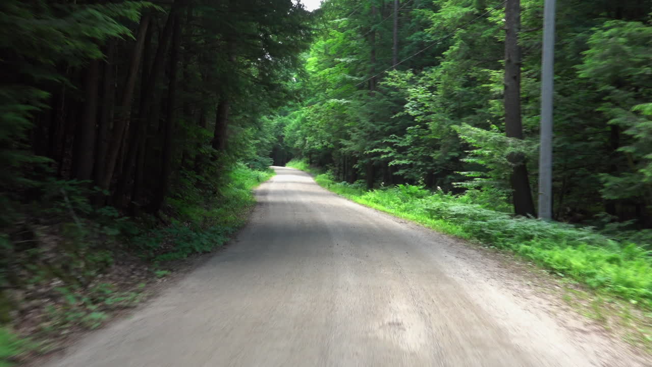 Driving on a paved road in the forest.