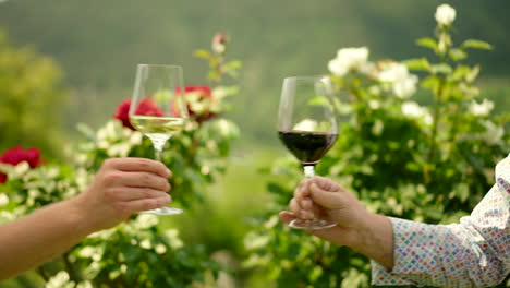copas de vino blanco y tinto tintineo