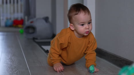 baby crawling and playing at home