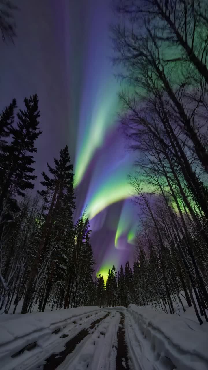 A mesmerizing video still of the aurora borealis over a snowy forest road, captured from a low