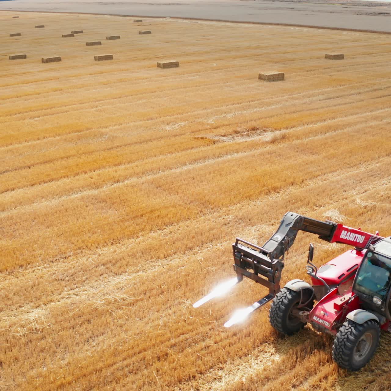 Mavhine farming in the field. Seasonal combine harvesting