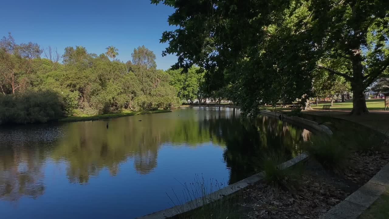 4k Hyde Park Perth blue lake overhanging green tree inner-city oasis