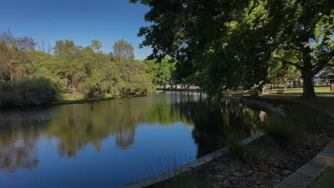 4k hyde park perth blue lake overhanging green tree inner-city oasis