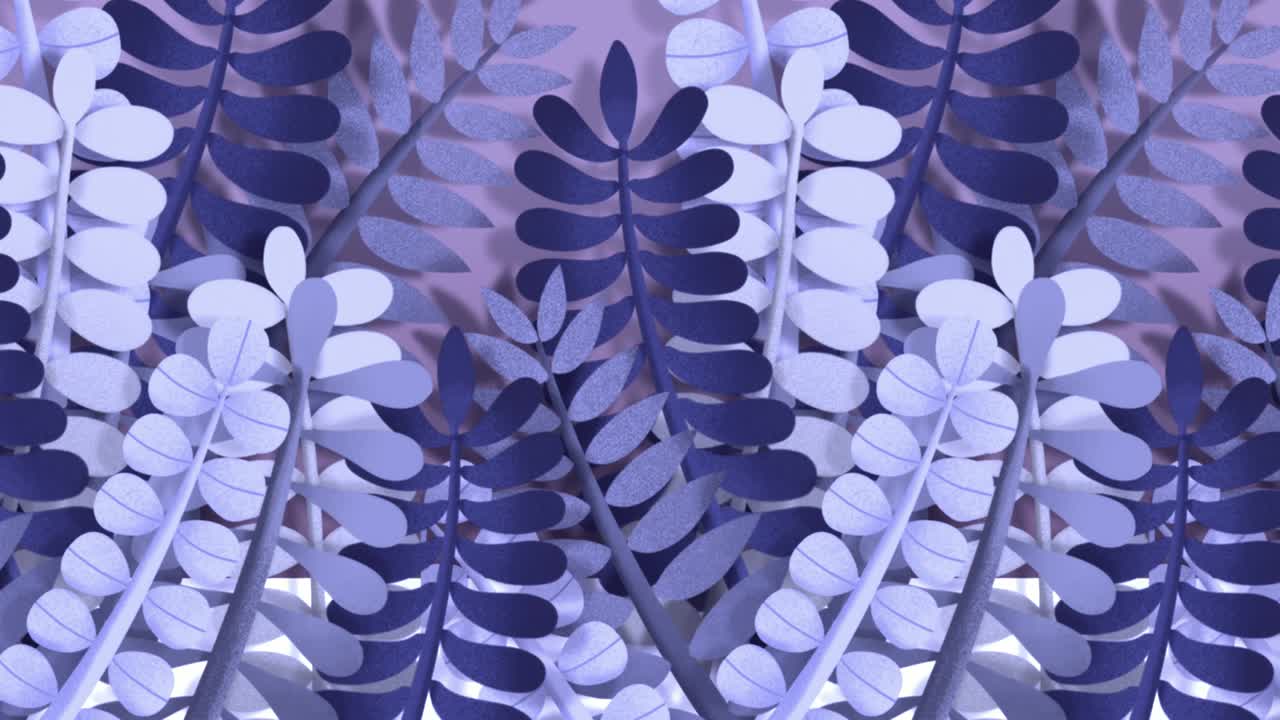 plantas suculentas que se mueven por