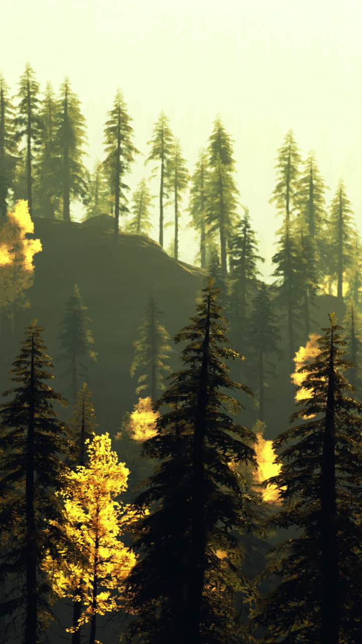 Vibrant autumn forest with golden leaves illuminated by sunlight