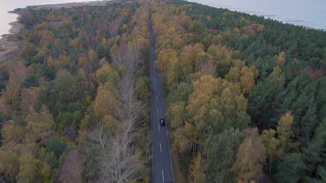 Aerial-shot-of-road-through-forest-towards-sea,-Hel-Peninsula