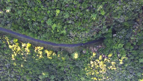 Vista-Aérea-De-Ciclistas-Saliendo-De-Un-Túnel-Rodeado-De-Exuberante-Vegetación