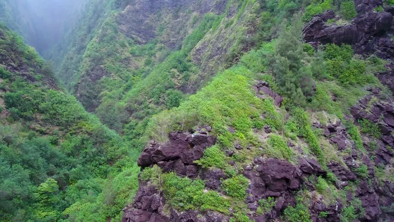 Rock formation on beautiful colors and shape covered by lush vegetation of tropical island in Hawaii