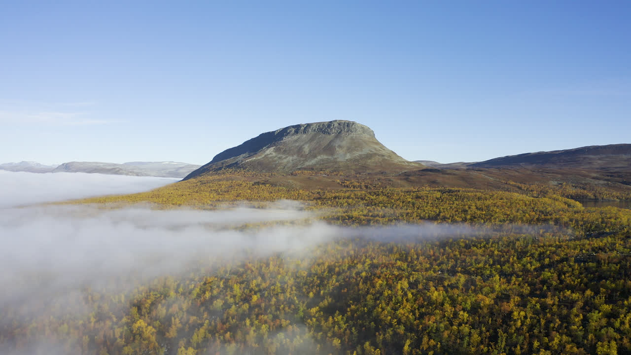 volando lentamente sobre árboles coloridos durante el follaje de otoño en el norte de finlandia en una mañana soleada