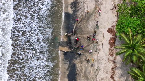 birds eye shot fishermen pulling fishing net out beach palomino colombia