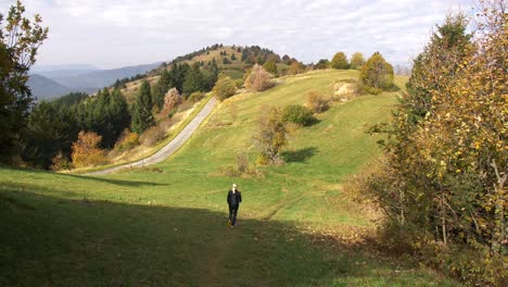 young woman with blonde hair walks in nature on sunny autumn day, wide static shot