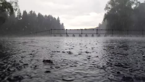 heavy rain splashes on a reflective bridge surface with a misty forest backdrop, creating dramatic ripples and a moody atmosphere