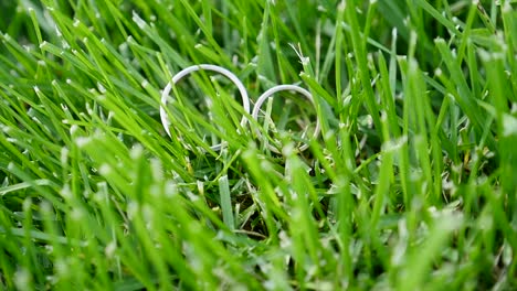 two white gold wedding rings sitting in the green grass