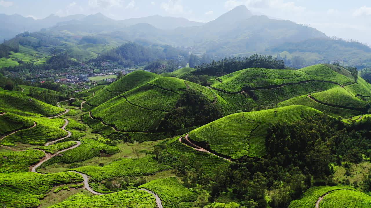 Breathtaking Tea Plantation Landscape