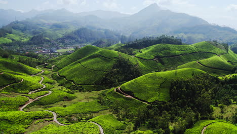 breathtaking tea plantation landscape