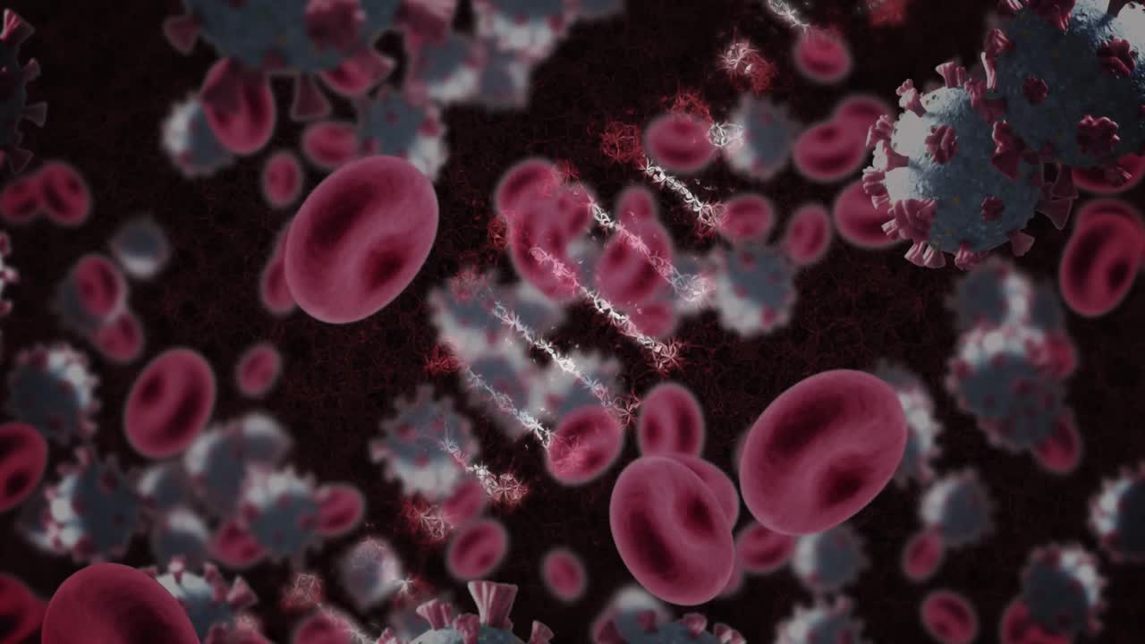 la estructura del adn, los vasos sanguíneos y las células de covid-19 se mueven contra un fondo negro