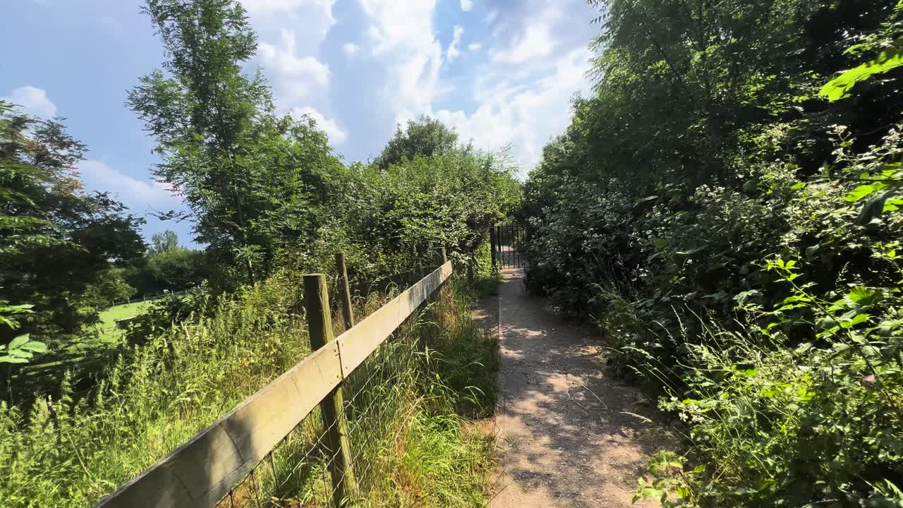 Walking on Fenced Trail Surrounded by Greenery