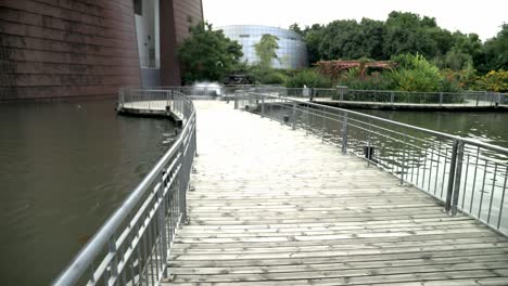 Vogel-Auf-Der-Brücke-Im-Park