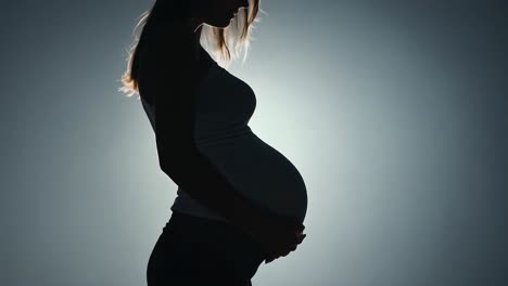 silhouette of a pregnant woman gently caressing her belly against a soft gray background, embodying motherhood and love