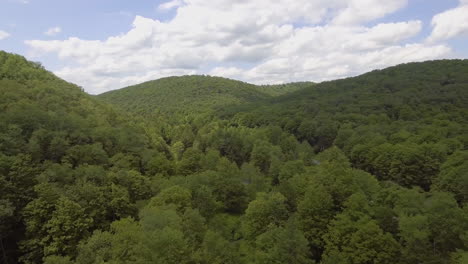 wide drone shot of lyman run state park in pennsylvania