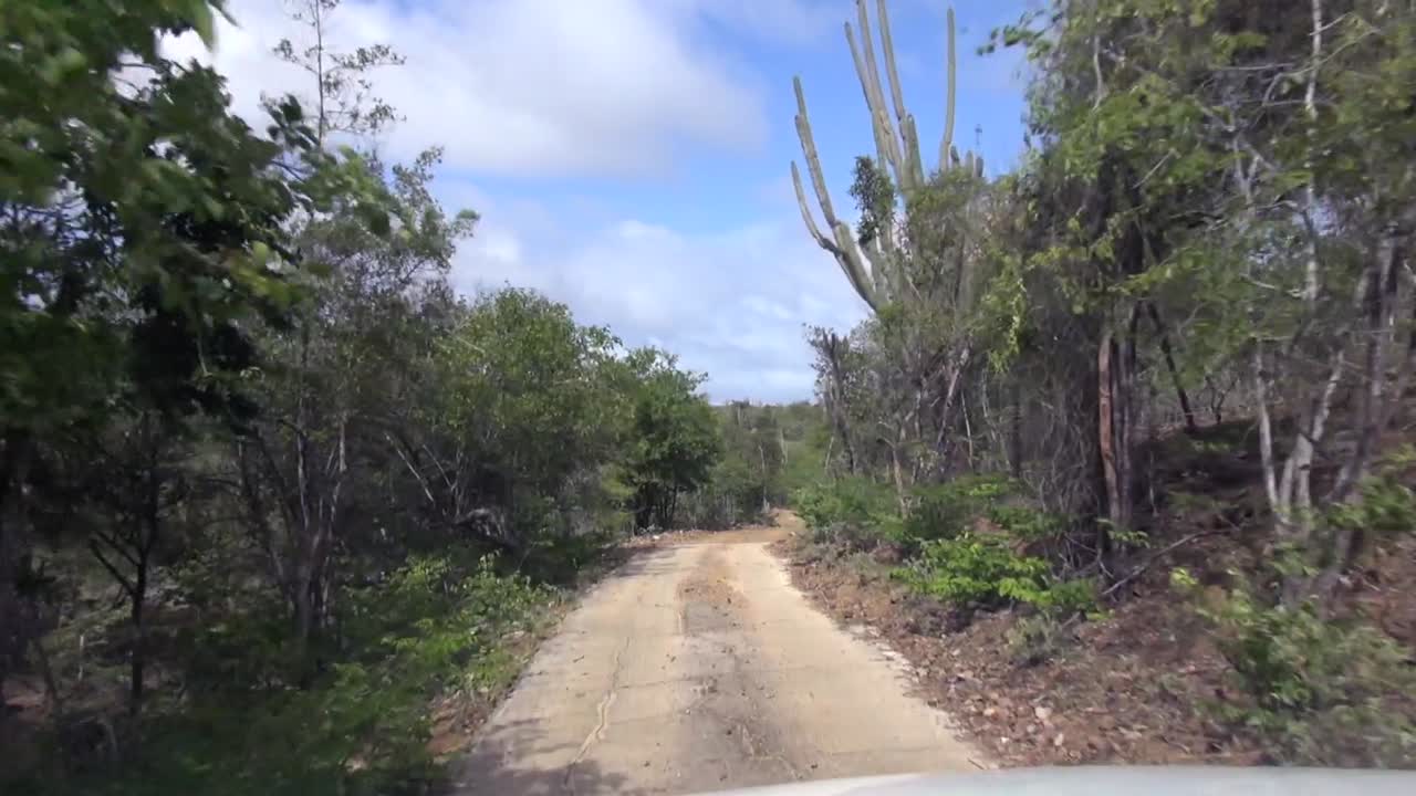 약간의 도로 개선