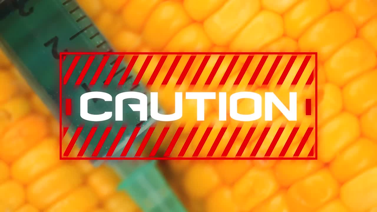 Animation of the word Caution written in red frame over syringe stuck in a corn cob in the backgroun