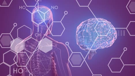 animación de fórmulas químicas sobre el modelo del cuerpo humano sobre fondo púrpura