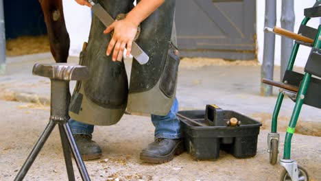 Woman-polishing-horseshoes-in-horse-leg-4k