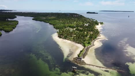 algas marinas y agua salobre en el estuario del río de la playa de doot en la isla de siargao