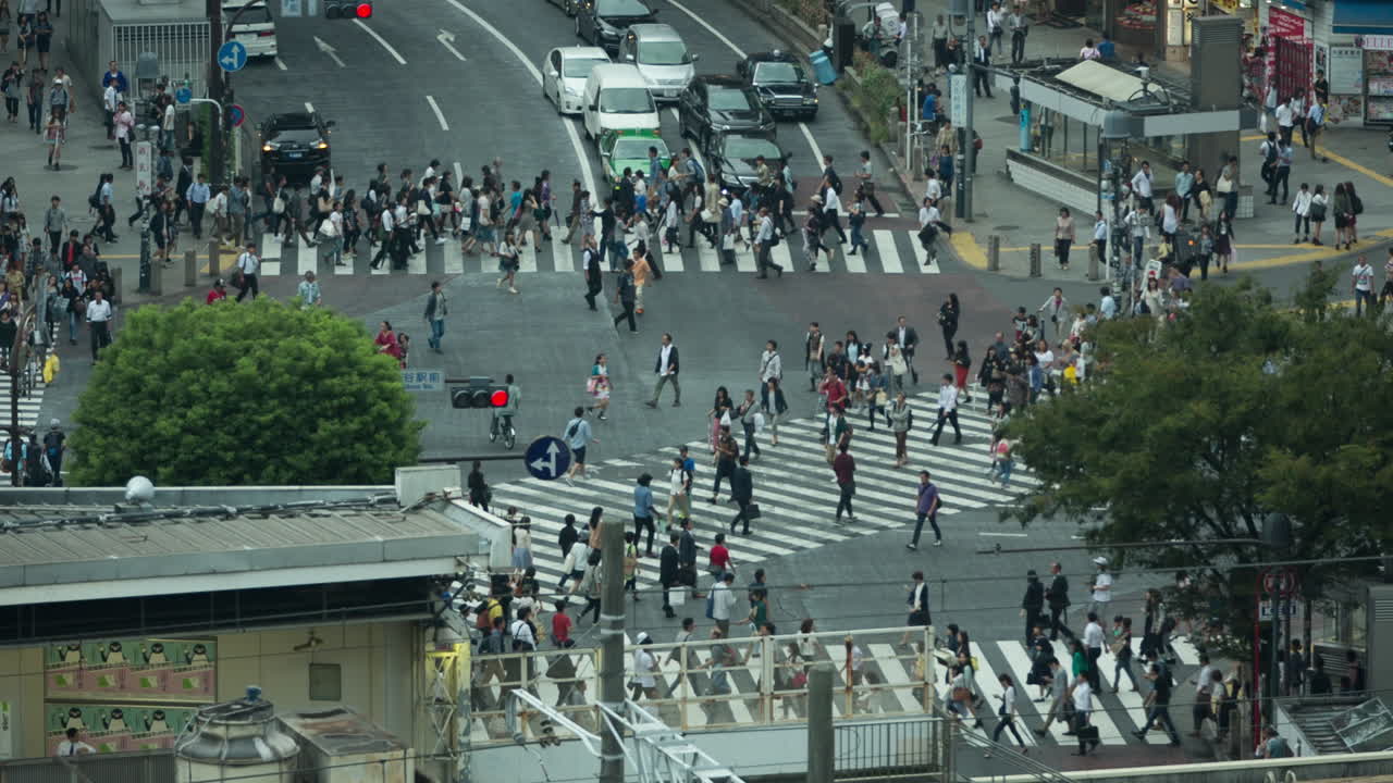 스크램블 교차로 전경 01