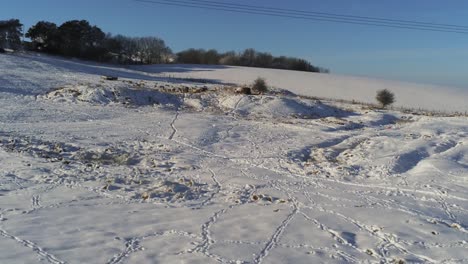 Ovejas-Pastando-Campo-Cubierto-De-Nieve-Prado-Rural-Colina-Profunda-Nevada-Antena